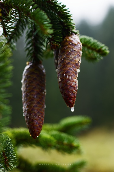 20140925_0148_Hintergrundbilder.jpg
