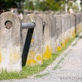 Zaun