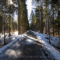 Pfad