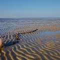 Wattenmeer